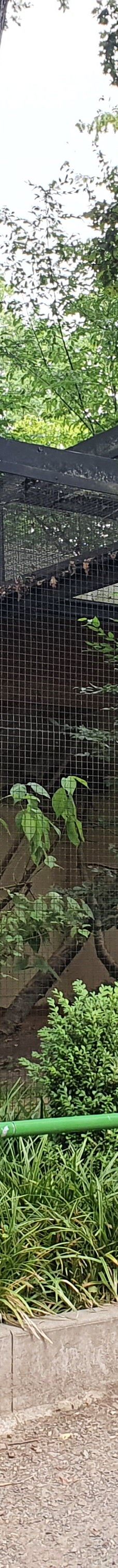 Chemnitz Zoo-开姆尼茨