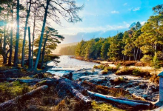 Linn O' Dee景点图片