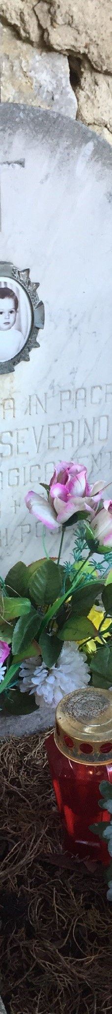 Motovun cemetery-莫托文