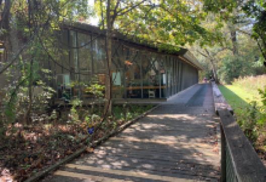 BREC's Bluebonnet Swamp Nature Center景点图片