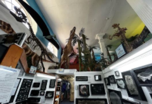 Dinosaurland Fossil Museum景点图片