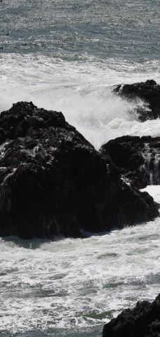 博尼角塔-马林县