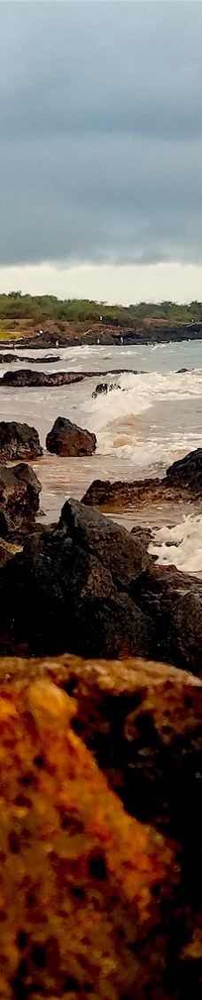 Kamaole Beach Park II-茂宜县