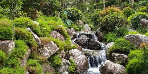 Japanese Village at Colmar Tropicale