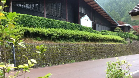 龍神村曼荼羅美術館
