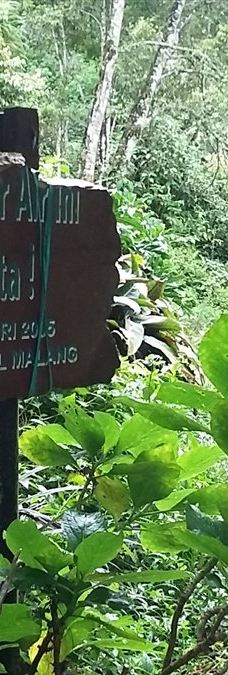 Arboretum Sumber Brantas-Bumiaji