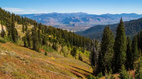 Teton Pass