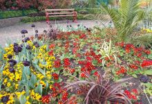 Garden of Reflection景点图片