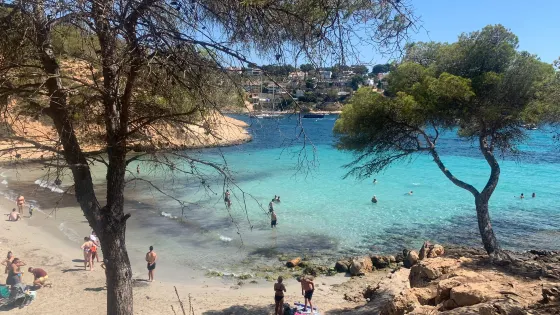 Playa Portals Vells