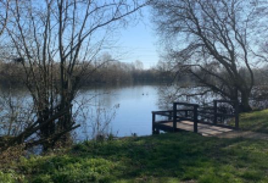 Ducklington Lake景点图片