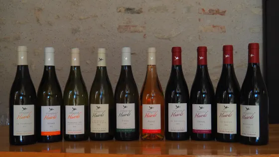 Domaine des Huards