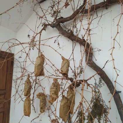 西班牙+托莱多+马德里自治区+托莱多大教堂+孔苏埃格拉城堡+昆卡+阿兰胡埃斯+钦琼6日5晚私家团