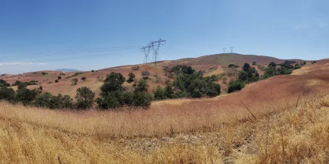 奇諾崗州立公園