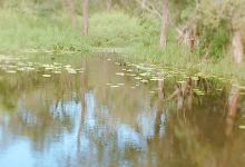 Beerwah Library景点图片