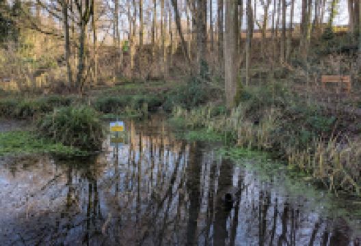Silver Street Local Nature Reserve景点图片