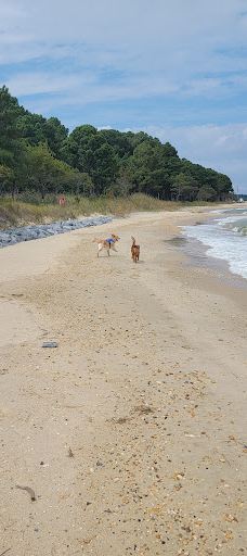 Point Lookout State Park-圣玛丽县