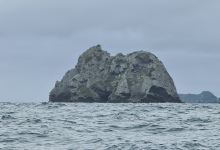 Salty's Skerry景点图片