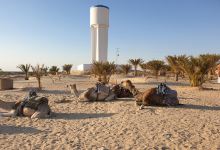 Karavan Station景点图片