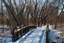 Cottonwood Recreation Area景点图片