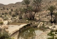 Vallée de Toroman واد طورومان景点图片