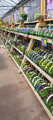 Mayfield Garden Centre-凯尔索