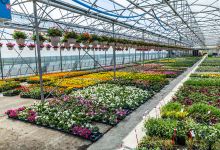 VUILLERMET Horticulteur购物图片