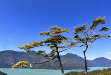 Knight Inlet Grizzly Bear viewing景点图片