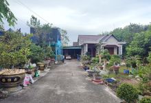 Vườn Lan Ngọc Nguyễn景点图片