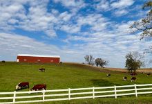 Sharonville State Wildlife Management Area景点图片