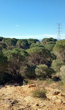 El Pinar del Rey-圣罗克