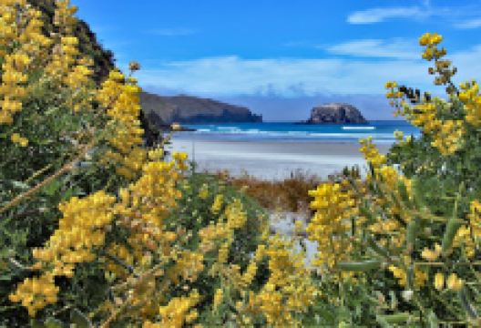 Allan's Beach Access景点图片