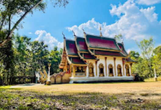 Wat Suan Paa Luang景点图片