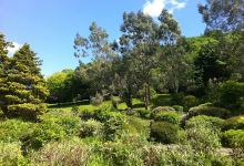 Parc Jersey Park景点图片