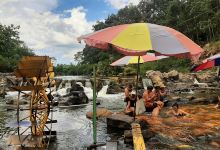 Vườn Đồi Cá Vàng Khe Tọ景点图片