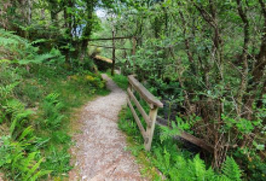 Castro de Borneiro景点图片