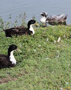 Texarkana Parks & Recreation-特克萨卡纳