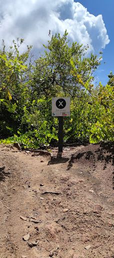 Nid d'Aigl-拉迪格