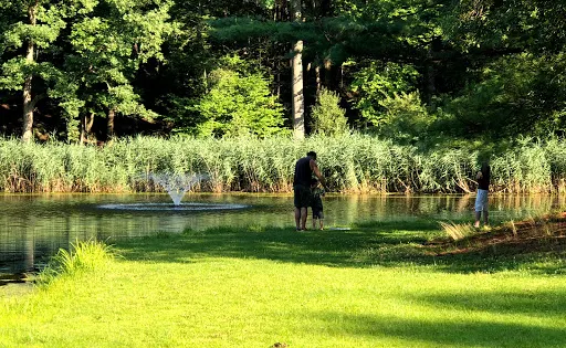 Depew Park