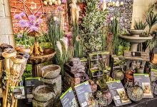 PlantWorld购物图片