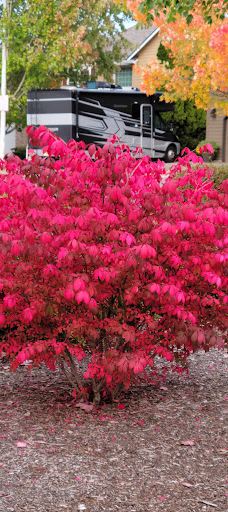 Wes Bennett Park-塞勒姆