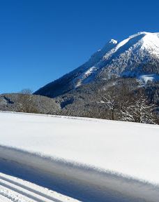 Ski School Ötscher Lackenhof-沙伊布斯