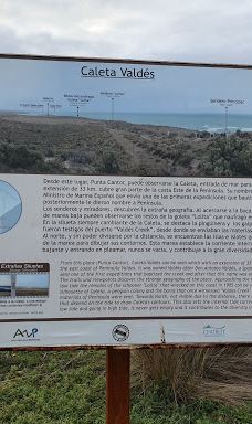 Caleta Valdés-别德马