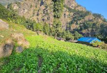 Soti Khola Bazar景点图片