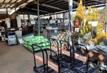 Wood Flowers购物图片