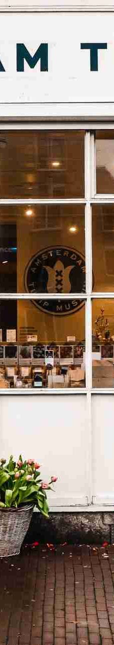 阿姆斯特丹郁金香博物馆-阿姆斯特丹-lynn wien
