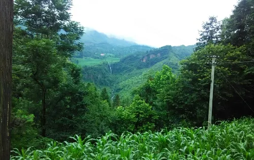 劉家院