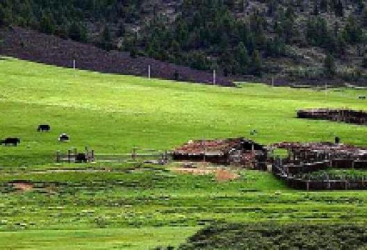 竹巴龙自然保护区景点图片