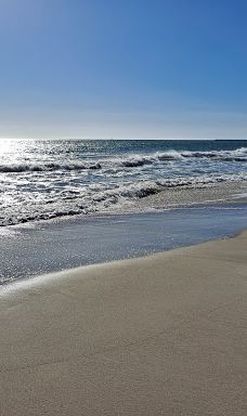 Pines Park-达纳点