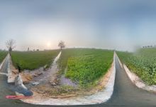 Manoj Dhatterwal Garden景点图片