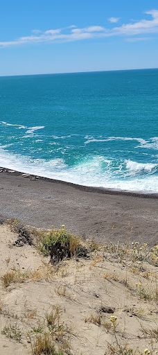 Caleta Valdés-别德马